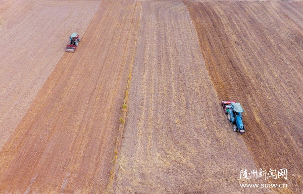 �N�Z����ĸ���֮·