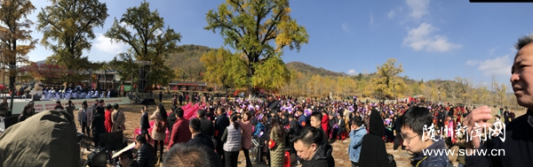 �y�Ә������������y�ӹȡ����ｻ��������e��