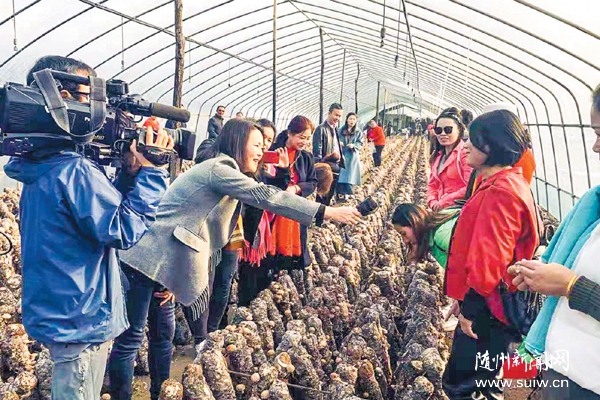 ����(zh��n)����Ģ���r(n��ng)�񌣘I(y��)�����玧���r(n��ng)���Nֲʳ�þ�