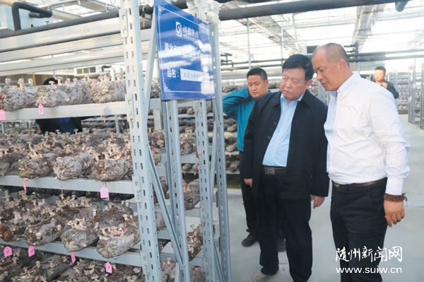 Ժʿ�»��� ָ��(d��o)�¼��g(sh��)