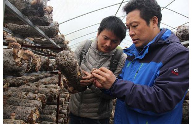 ��У�������B(t��i)��