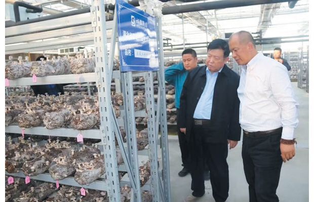 Ժʿ�»��� ָ���¼��g