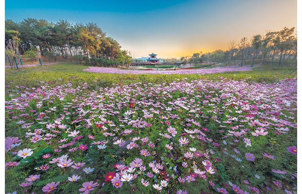 ���B(t��i)�@��ٻ���