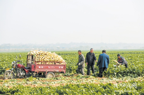 �Vˮ���M��һ�l(xi��ng)һƷ����(zh��n)��