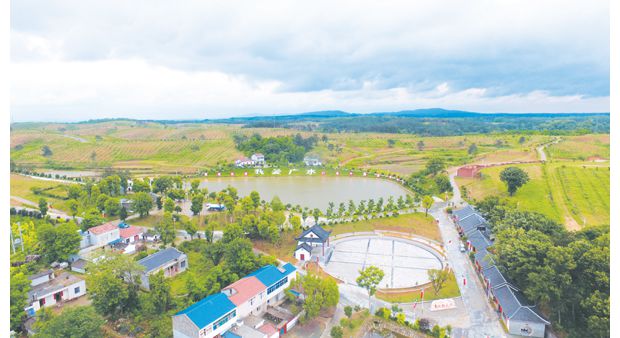 �����l(xi��ng)���d��