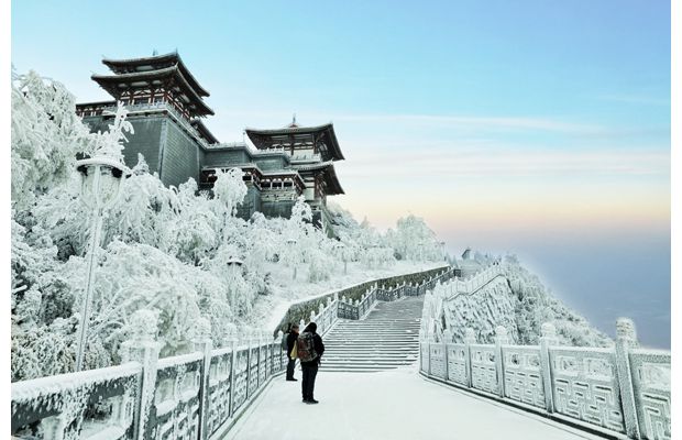 �y�b�ع����ɽ