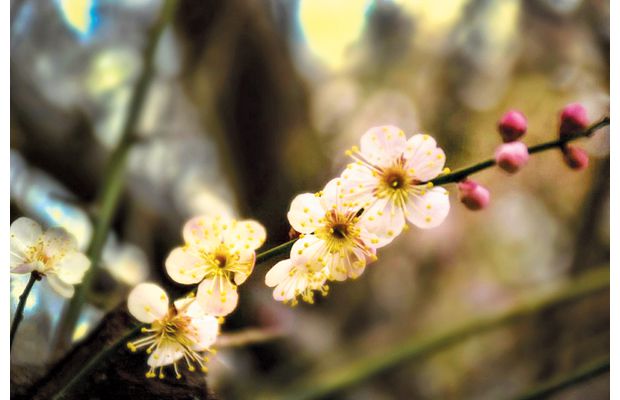 ÷���`�Ŵ�����