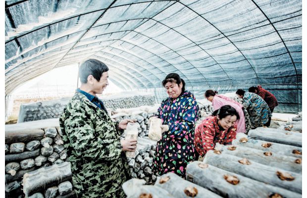 ���a�����㹽��