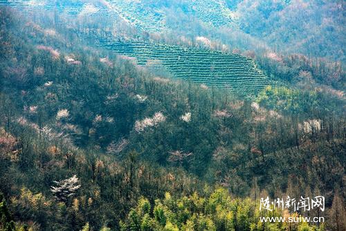 �S�h�(zh��n)܇��ɽҰ�ѻ�һƬ����