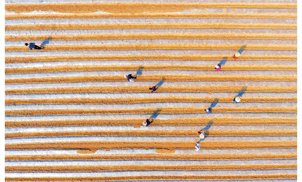 �R�������