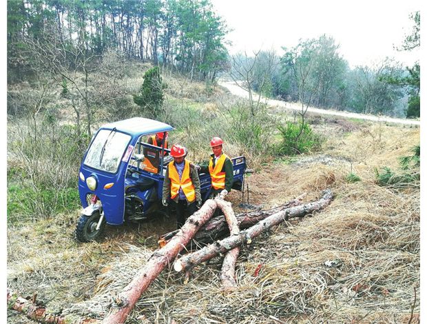 ����������ľ