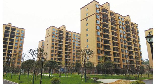 ���M����Ŀ