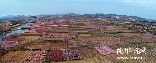 �������n�����l(xi��ng)��