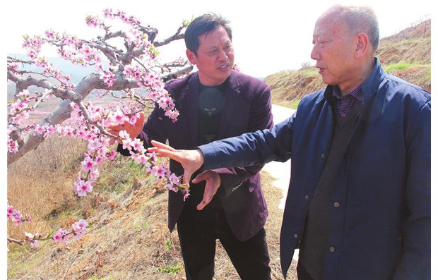 �g��������Ʒ�|