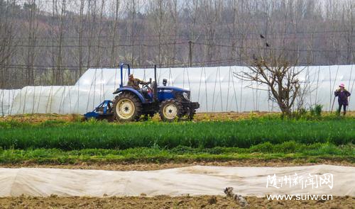 �C(j��)¡¡æ����