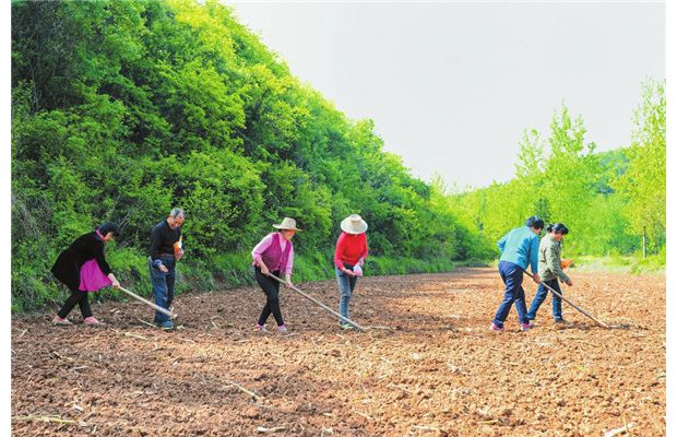 ���g���^æ����