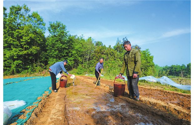 �S�ݸ���æ����