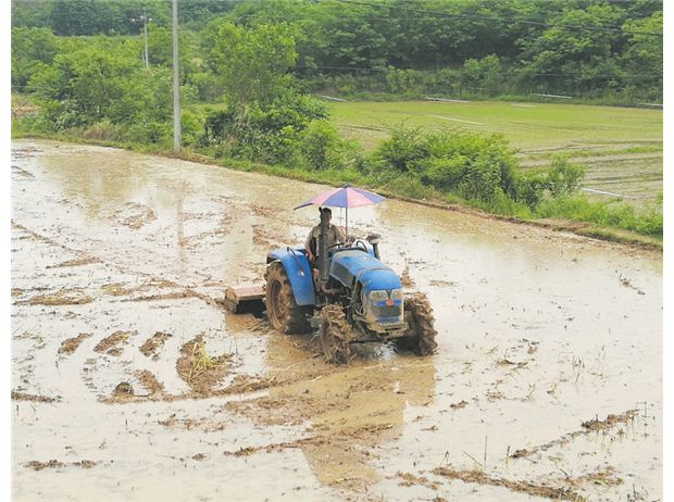 ��M�N�㲻�̻�