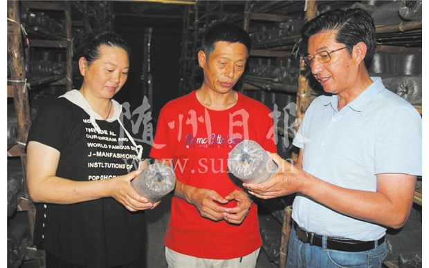 ��Q���N���g(sh��)�y�}