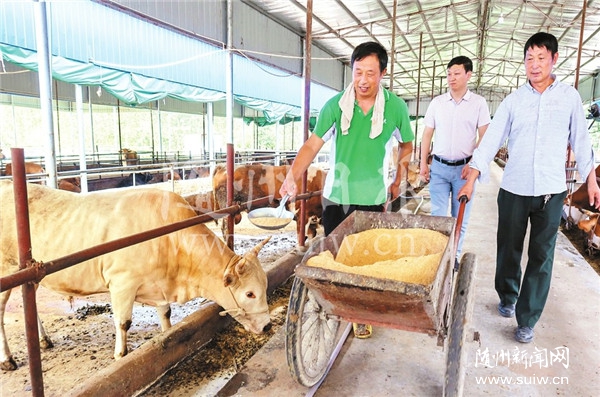 �ͷ����O�B(y��ng)ţ���I(y��)������