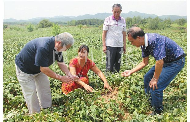 ���ҡ���(hu��)�\��