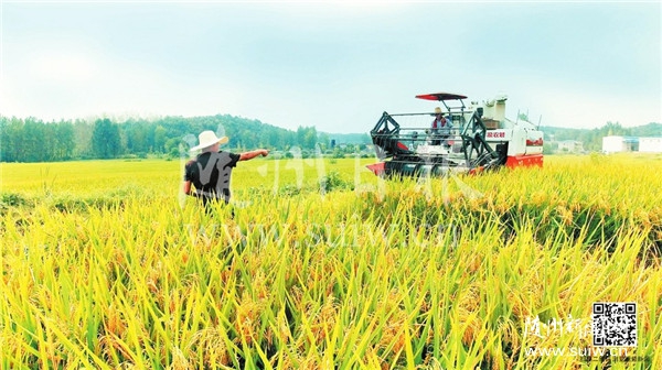 ����������ո��^��