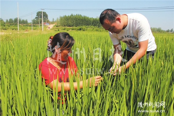 ֧���r(n��ng)�I(y��)�l(f��)չ