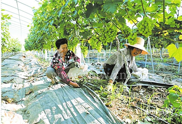 ���B(t��i)�@����M֦�������M�Ͻ�ʢ���@��@�C���w