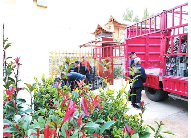 ���O(sh��)�����l(xi��ng)��