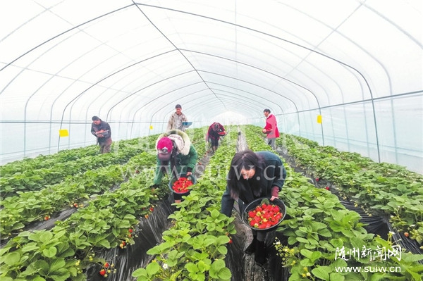 ��(chu��ng)���������B(t��i)�@ ����(d��ng)Óؚ�¸�