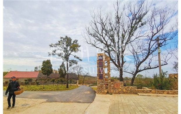 ���O(sh��)�����l(xi��ng)��