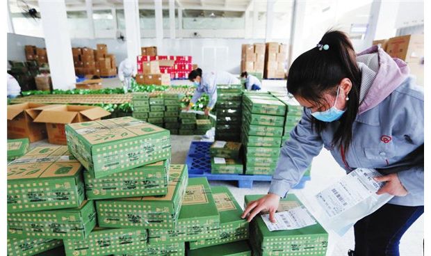 ƷԴʳƷ�W(w��ng)�N��