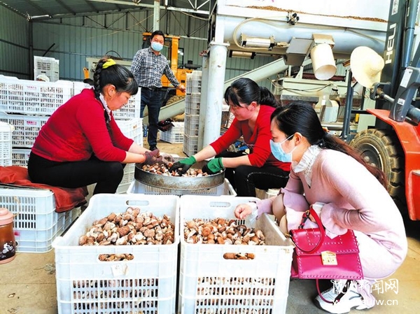 ���L(f��ng)���n����ؚ����(h��)