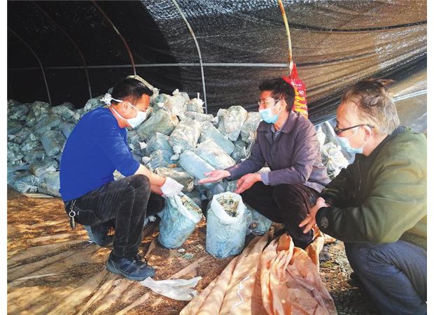 ���㹽�a(ch��n)�I(y��)���{�o(h��)��