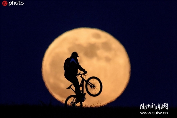 ������?q��ng)?b��o)����(b��o)�u(p��ng)Փ�T�����������(zh��n)�������Ї�(gu��)�����