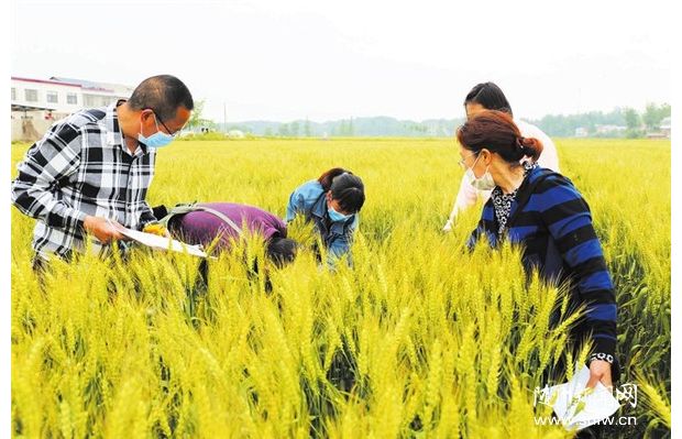 �_չ���������r(n��ng)���{(di��o)��