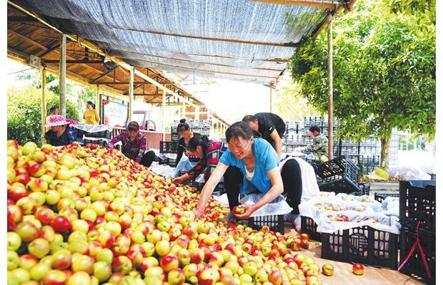 ������������