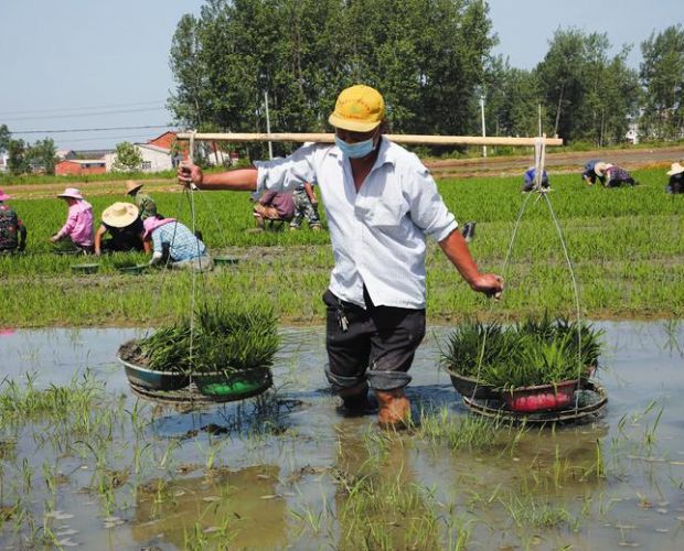 ������(j��ng)��(j��)�_�l(f��)�^(q��)�´���10�M�r(n��ng)������������һ�ɷ�æ����