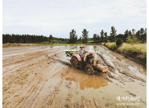 ���조�㵾���^(q��)�򹫹�Ʒ��