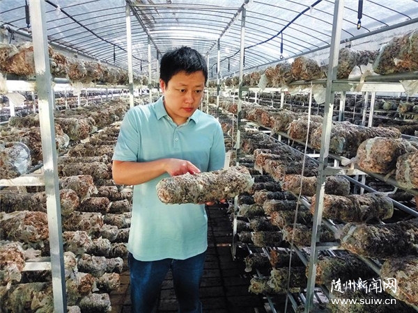 �S���K:���ഺ���ڡ����l(xi��ng)�������