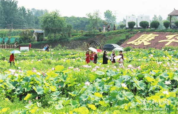 �ɻ�ʢ�_���́�