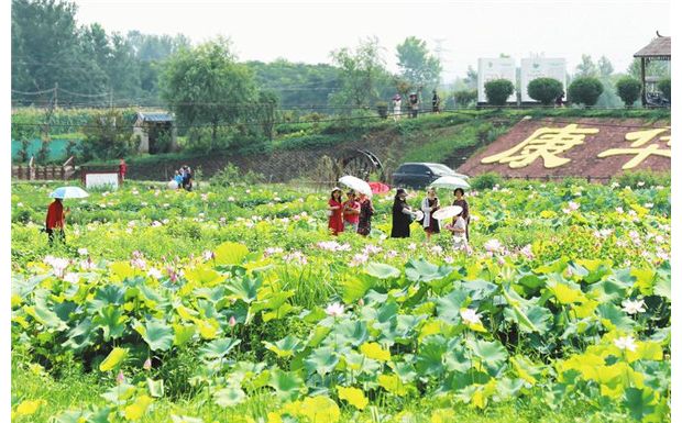 �ɻ�ʢ�_���́�