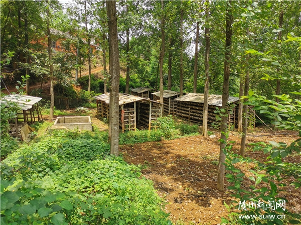 ��Óؚ���ԡ����ɽ�L(f��ng)�����م^(q��):�d�a(ch��n)�I(y��)����·