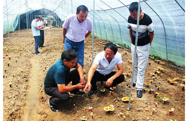 �v���`֥�Nֲ֪�R