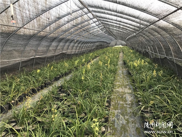 ���g(sh��)��ɽ⡰�m���}