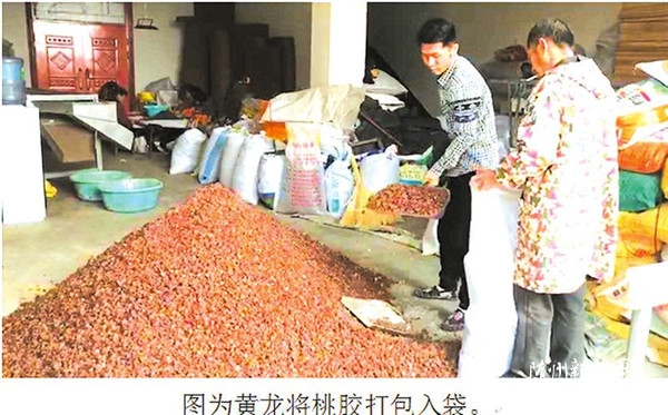 ��Óؚ����(ji��n)���S���������z�u��ȫ��(gu��)