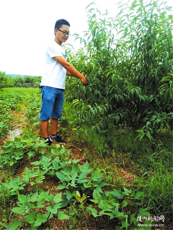 ��Óؚ����(ji��n)���x�w���ഺ��I(xi��n)����(sh��)�@