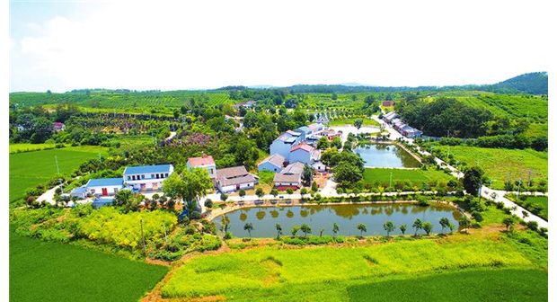 ���O�����l(xi��ng)��