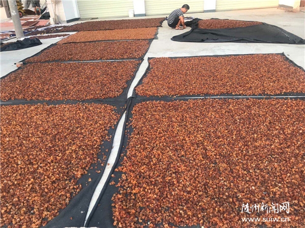 �������҂���С����������(zh��n):���һ��I���ɡ������ꡱ