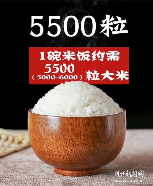 ����ϧ�Zʳ����һ������Q��ӛ